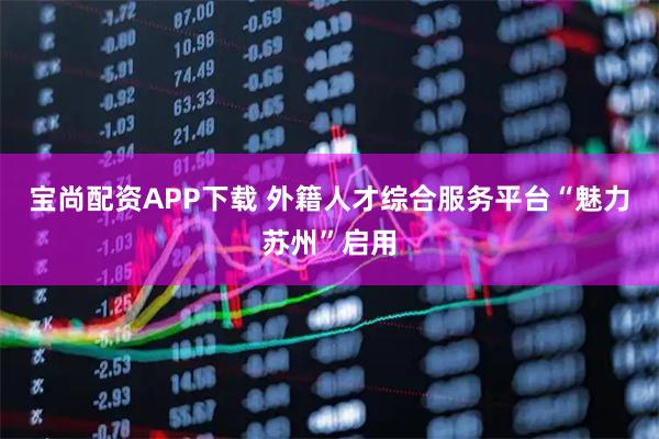 宝尚配资APP下载 外籍人才综合服务平台“魅力苏州”启用