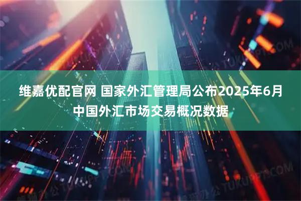 维嘉优配官网 国家外汇管理局公布2025年6月中国外汇市场交易概况数据